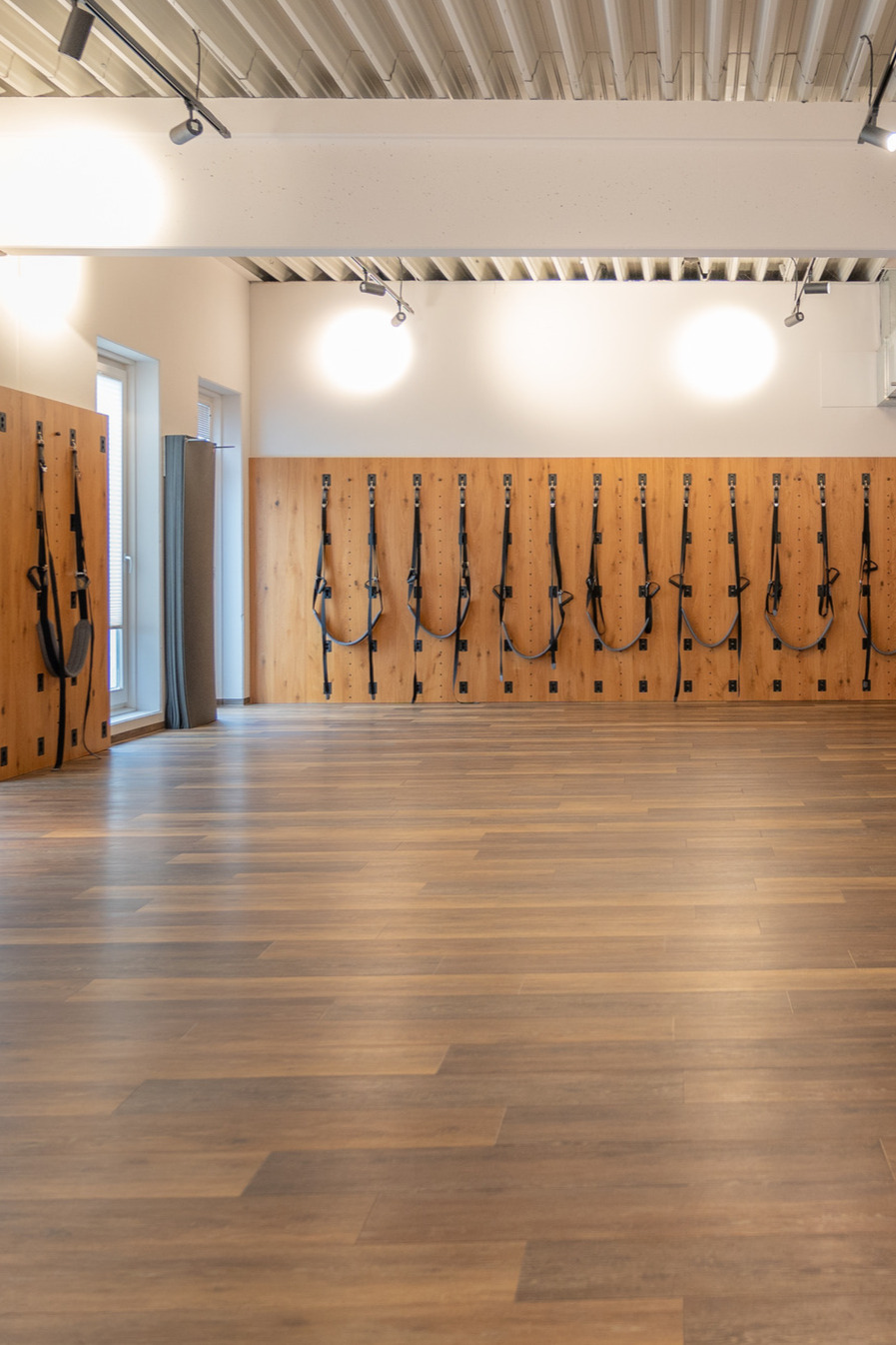 Pure Physio Gymnastikwand